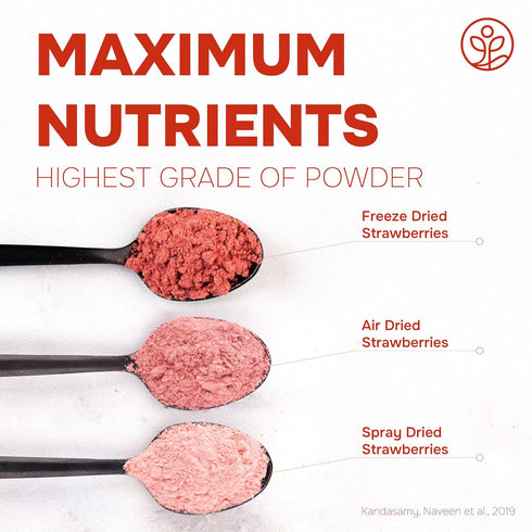 Jungle Powders Strawberry Powder, 3.5 Ounce Bag of Freeze Dried Strawberry Powder for Baking and Smoothies