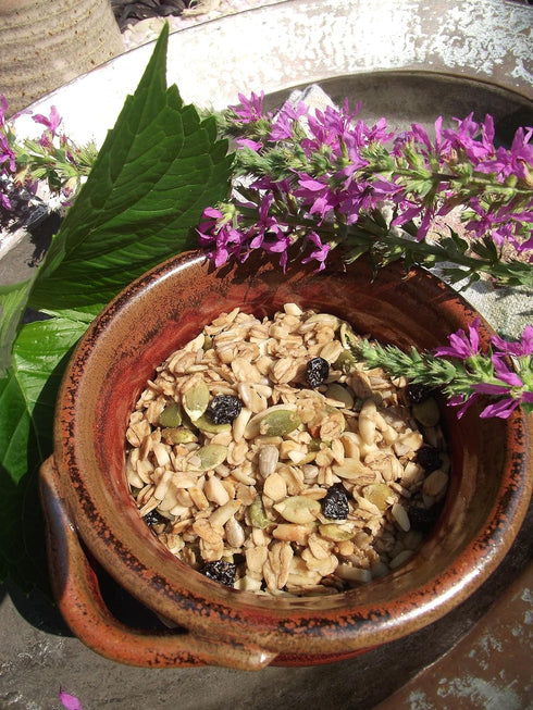 10 oz Maple Nut Kitchen Lavender Blueberry Granola | Low Sugar, Gluten-Free Granola with Oats, Almonds & Real