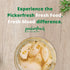 7 oz Pickerfresh Pickled Garlic - Gourmet Garlic Cloves - Simple Ingredients - Non-GMO, Gluten Free & No Artificial