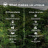 (1 (16 oz)) U Chocolate Organic Cacao Powder - Natural - Fresh From our Farm bag