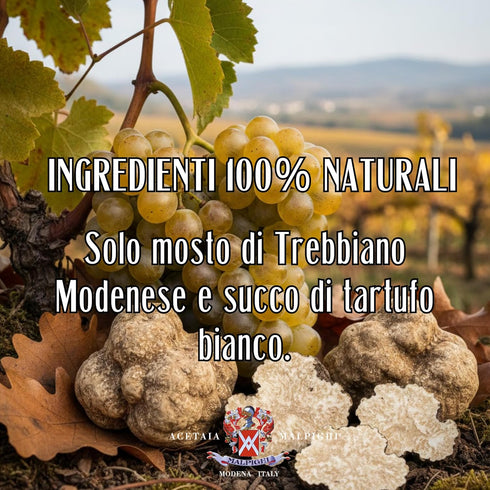 Acetaia (100ml 3,38 Oz) Malpighi - Condimento al Tartufo Bianco - White Truffle Dressing - fl