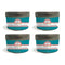 Luvafoodie Four Pack Garlic Lovers Spice Blend