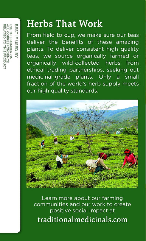 (Pack 3) 48 Traditional Medicinals Organic Ginger & Chamomile Herbal Tea, Relieves Occasional Indigestion or Nausea