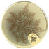 Rare Hawaiian 8 , Honey Lehua, Ounce