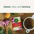 Immune 96 (6 Pack) Traditional Medicinals Tea, Organic Throat Coat Lemon Echinacea, Supports Throat Health & Function