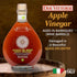 16.9 oz 500ml Due Vittorie Apple Vinegar - Easy to Drink Raw Apple Cider Vinegar Aged in Barrique Wine Barrels, Gourmet