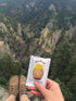 Justin's Honey Peanut Butter Squeeze Packs, Gluten-Free, Non-GMO, Pack of 10 (1.15oz each)