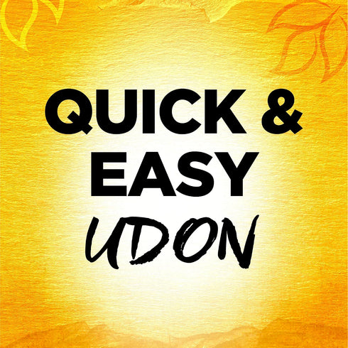 0.87 oz (Pack 12) Simply Asia Curry Udon Noodle Bowl Seasoning Mix