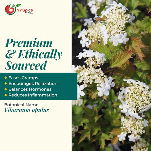 2 NY Spice Shop Cramp Bark Cut & Sifted - Pound Viburnum Opulus - Herbal Cramp Bark Ingredient for Herbal Tea