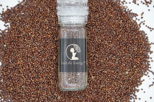 4.3 OZ AseLife Energy Grains of Paradise Spice with Spice Grinder Jar Melegueta Pepper Ginny Grains Mbongo spice Hepper