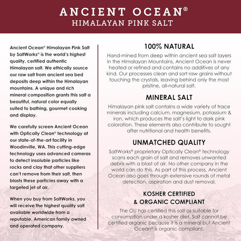 5 SaltWorks Ancient Ocean Himalayan Pink Salt, Medium Grain, Pound Bag