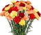FlowerPrime 50 Fall or Autumn Carnations - Fresh Natural Cut Flowers Special