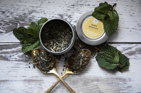 Pack 9 Set Golden Moon Tea Variety - Loose Leaf Tea Sampler - Organic Black, Green, White, and Herbal Teas Gift