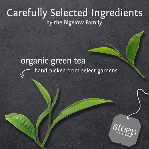 20 Count (Pack 6), 120 steep Organic Pure Green Tea, Caffeinated, of Tea Bags Total