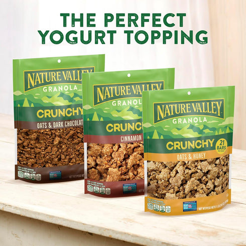 24 oz Nature Valley Crunchy Granola, Oats and Honey, Resealable Snack Pouch, Family Size