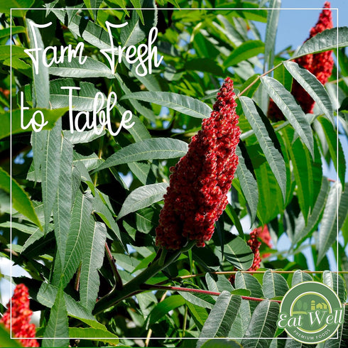 Eat Well Sumac Spice Powder 16 oz Bulk Ground Sumac Berries in Resealable Pack, 100% Natural