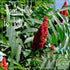 Eat Well Sumac Spice Powder 16 oz Bulk Ground Sumac Berries in Resealable Pack, 100% Natural