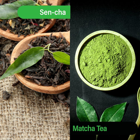 100 02386 1pk MAEDA-EN Sen-cha with Matcha Green Tea Bags Powder Japanese Origin Green Tea Leaves Individually Wrapped