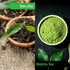 100 02386 1pk MAEDA-EN Sen-cha with Matcha Green Tea Bags Powder Japanese Origin Green Tea Leaves Individually Wrapped