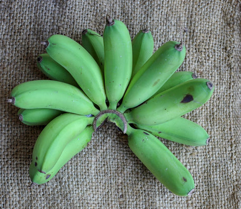 RawJoy 1 Fresh Organic Green Plantain Bananas by Farms, Pound
