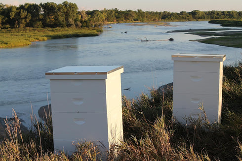 2lb Raw Honey Pure Natural Nebraska Honey One Jar