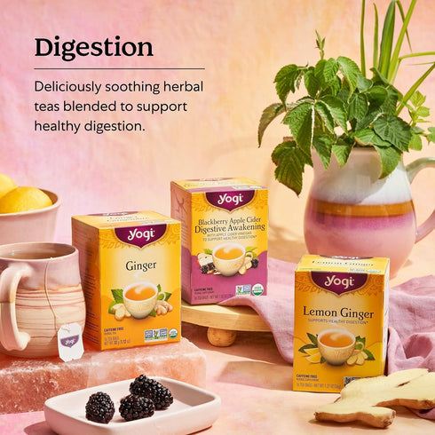 16 (Pack 6) Yogi Sweet Strawberry Digestive Support Herbal Tea, Caffeine-Free, Vegan Friendly, Kosher, USDA Certified