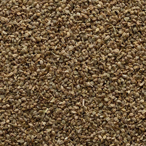 Frontier Co-op Celery Seed Whole, Kosher, 1 lb Bulk Bag