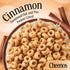 Cereal,Cinnamon,8g Size,15 oz,(Pack 2) Cheerios Protein Protein,Family