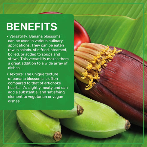 14 (Pack 6) Jiva Organic Banana Blossoms Ounce of - BPA Free, Gluten Free - Delicious Meatless Alternative