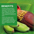 14 (Pack 6) Jiva Organic Banana Blossoms Ounce of - BPA Free, Gluten Free - Delicious Meatless Alternative
