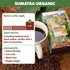 1LB Low Acid Organic Coffee Whole Bean, Mold-Free & Stomach Friendly by Java Planet, Sumatran Single Origin Coffee