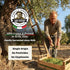 2024/25, Papa Vince Hydroxytyrosol Lab-Verified Olive Oil - Drinking EVOO, Fresh Taste, High in Polyphenols, First Cold