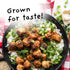 4Sisters (5 lb) - Premium Long Grain Aromatic Jasmine White Rice - Sustainably Grown - Women Owned - Farm to Table