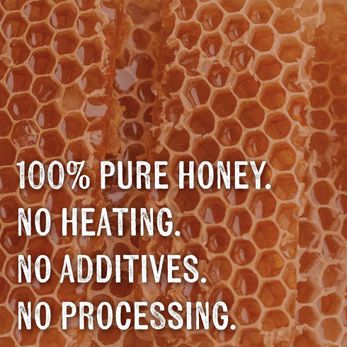 Country Wellbeing 16oz Goshen Amish Extremely Raw Buckwheat Honey - Unfiltered, Unprocessed, Pure & Natural - Harvested