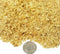 Aquatic Foods Inc. Mysis Shrimp, Freeze Dried Mysis Shrimp for All Tropicals, Marines, Corals, Anemones,