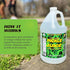 1 Immediately 1 Pickle Juice Sports Drink, Gallon, Extra Strength - Relieves Cramps - Electrolyte Pickle Juice for Day