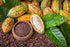 1 Food to Live Organic Cacao Butter Wafers, Pound - Non-GMO, Vegan, Food-Grade Cocoa Butter, Bulk, Ideal for Cooking