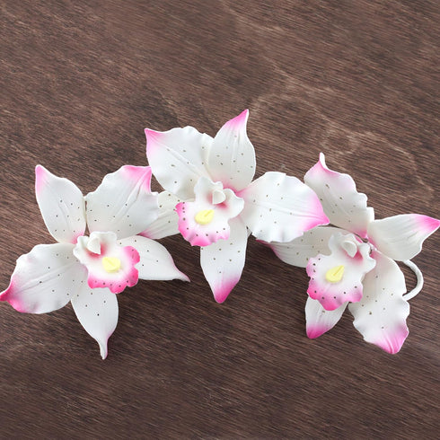 3 Count Global Sugar Art Brassavolaelio Orchid Sugar Cake Flowers, White with Pink, by Chef Alan Tetreault