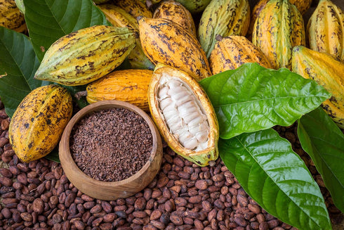 8 Food to Live Organic Cacao Nibs, Ounces - Unsweetened, Non-GMO, Kosher, Raw, Vegan, Sirtfood, Bulk
