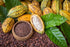 8 Food to Live Organic Cacao Nibs, Ounces - Unsweetened, Non-GMO, Kosher, Raw, Vegan, Sirtfood, Bulk