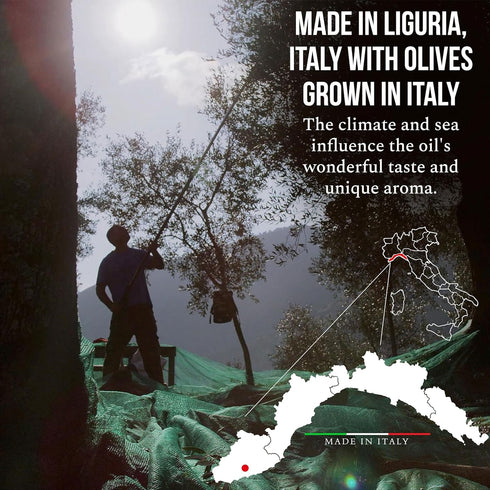 34 oz (1 ROI Extra Virgin Olive Oil From Italy - Cucina Ligurian Olive Oil From Italy, First Cold Pressed, Pure