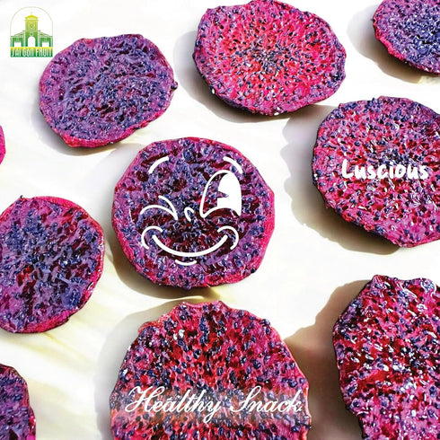 200 Si Gn Fruit - Soft Dried Dragon Fruit, No Sugar Added Healthy Soft Dried Dragon Fruit Snack For Kids And Adults