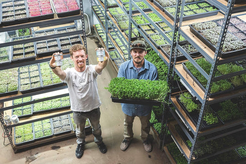 MICROTEA Organic Loose Leaf Functional Teas - Immune Supporting Antioxidant Microgreens for Vitamins, Micronutrients