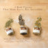 Set 3 Set of Artisan Bread Seasoning Mixes Garlic Herbs with Black Garlic, Seed Blend, and Toasted Onion With Lemon |
