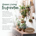 17 Better-GRO Hanging Kokodama with Birds Nest Fern - Biodegradable, Natural Planter for Indoor/Outdoor Spaces