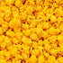 (20, Gourmet Individual Popcorn Treat Bags Assortment Classroom Office Snacks Cheddar-Cheese)
