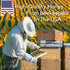 Wildflower Honey Sticks for Tea, Travel & Snacks - Premium Pure Honey Packets from US Beekeepers, 50 Pack