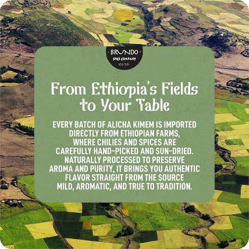 2oz Brundo Ethiopian Spice Company | Alicha Kimem | Mild Ethiopian Spice Blend | Used to Make Kik Alicha and Doro