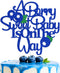 A Berry Sweet Baby is on the Way Cake Topper Blueberry Baby