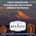 Truffle Salt, Finishing Sea Salt Infused with Black Truffle, Italian Black Truffle Seasoning, 14 oz Bag